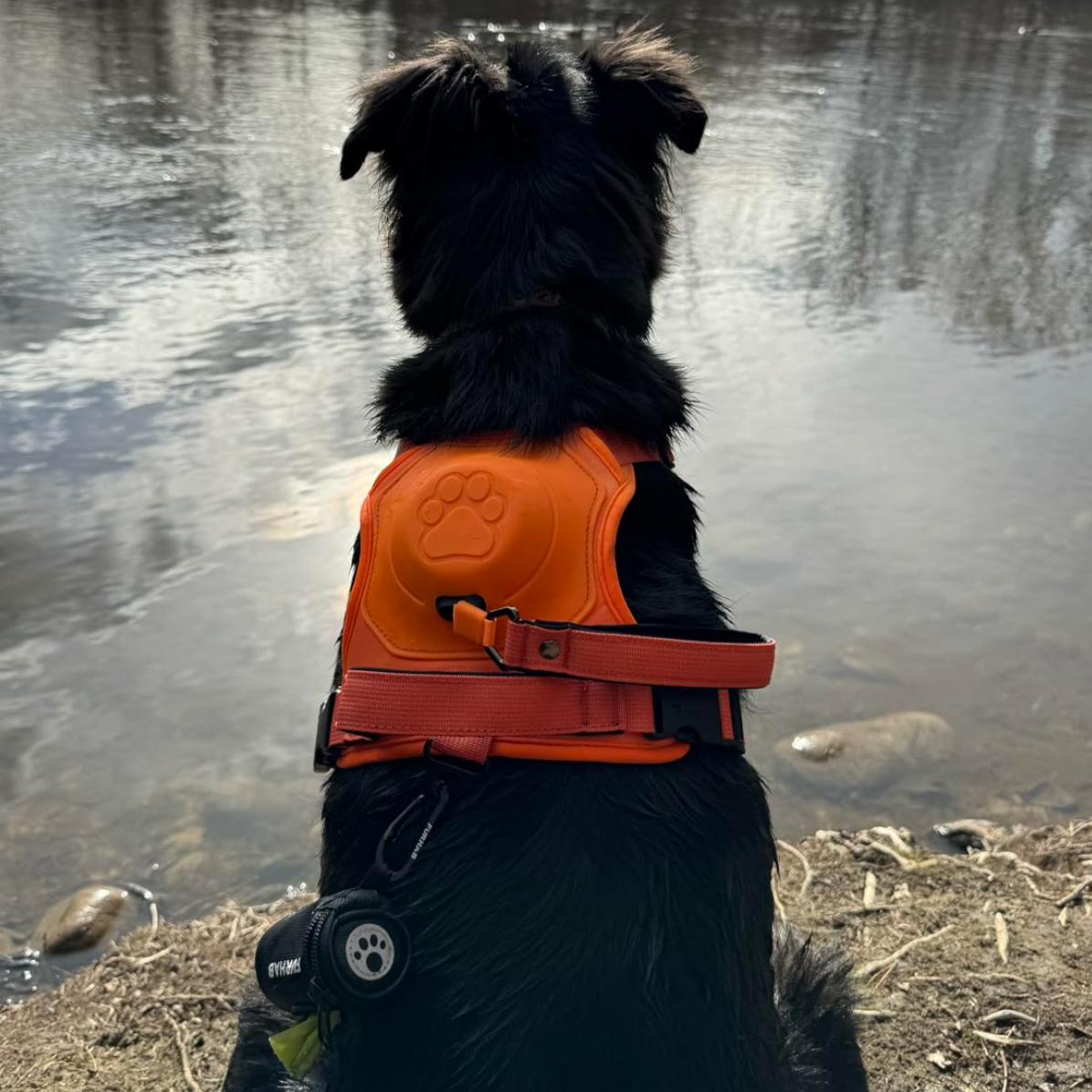 3 in 1 Dog Harness with Built-In Retractable Leash