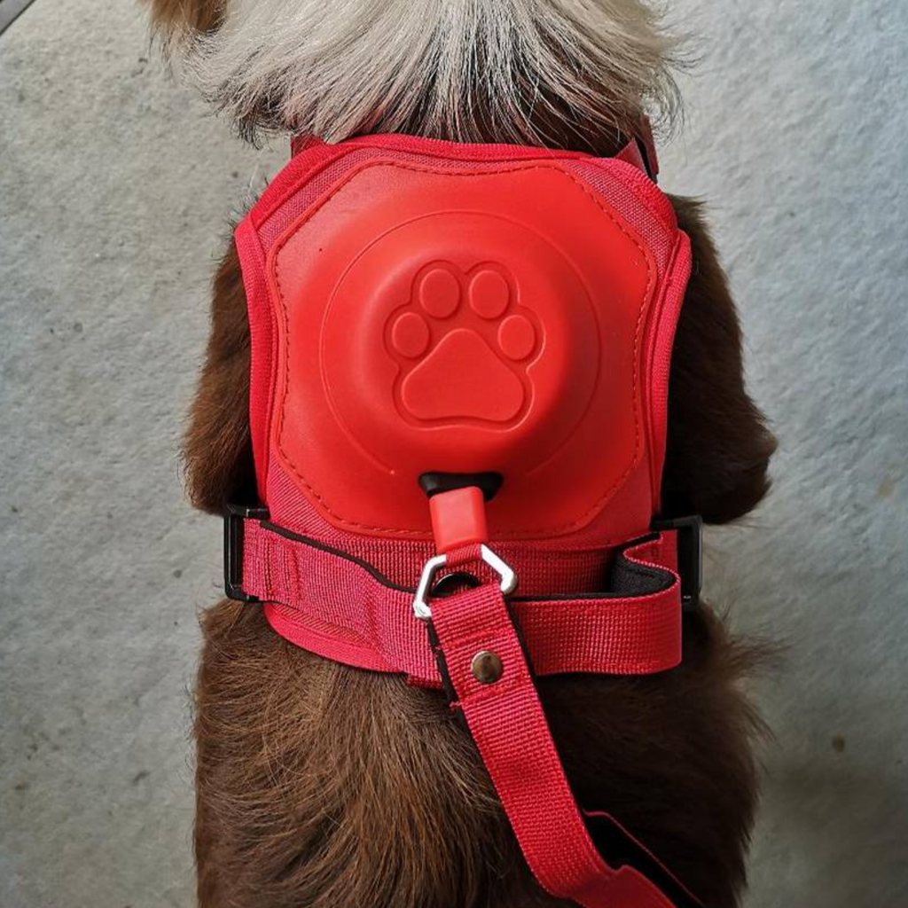3 in 1 Dog Harness with Built-In Leash