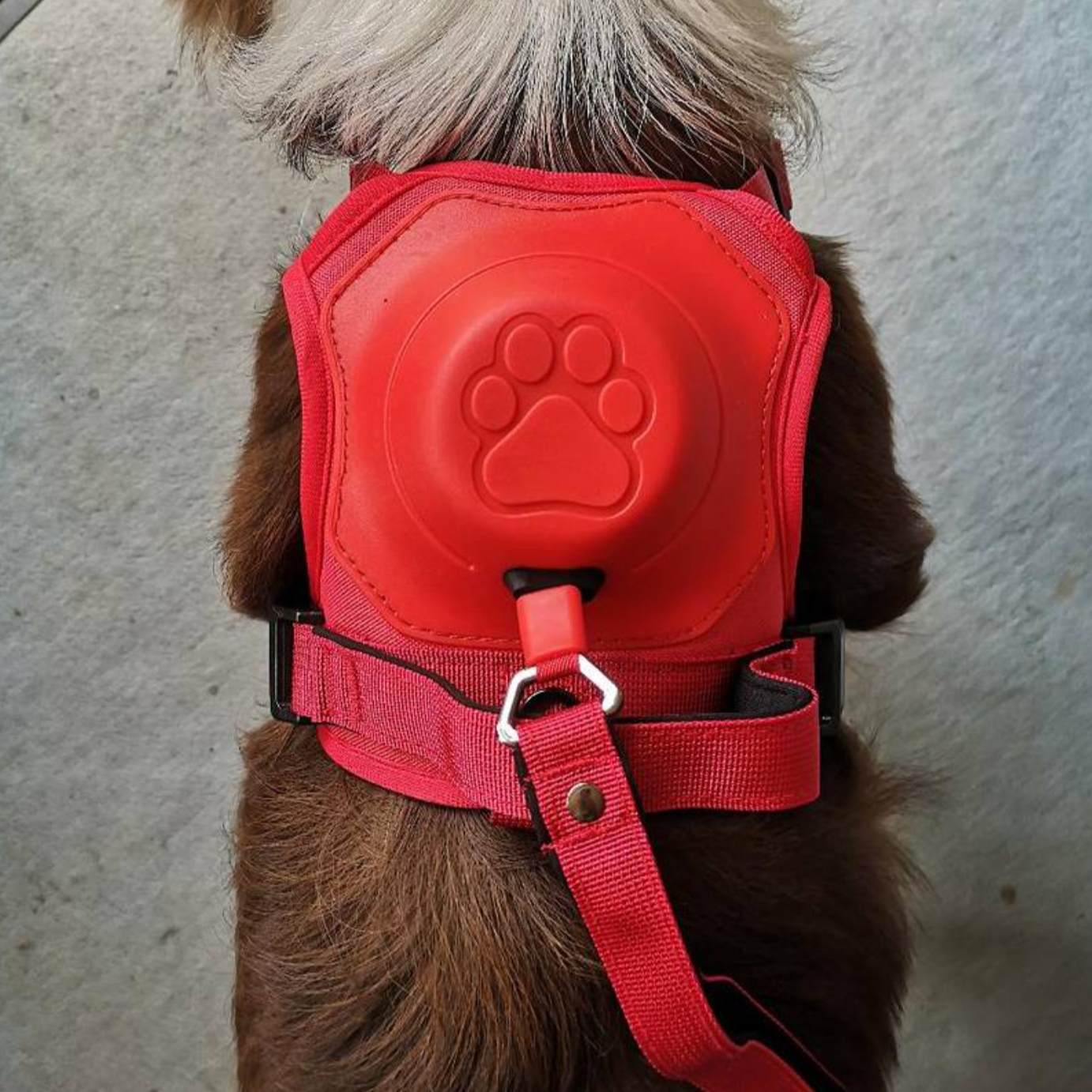 3 in 1 Dog Harness with Built-In Retractable Leash