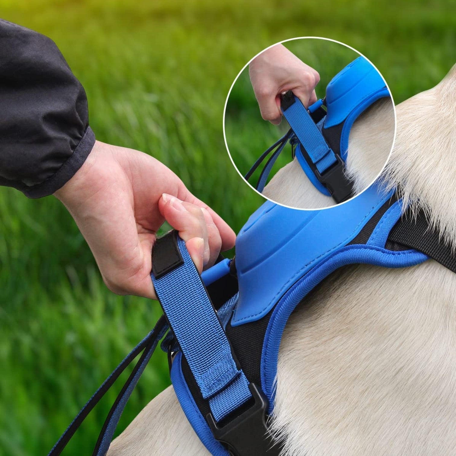 3 in 1 Dog Harness with Built-In Leash