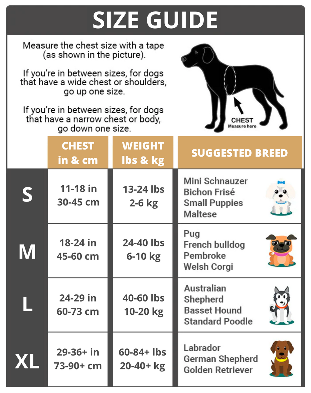 3 in 1 Dog Harness with Built-In Leash