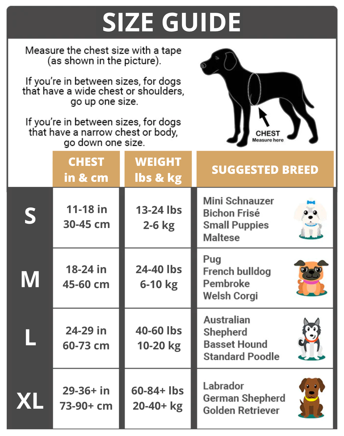 3 in 1 Dog Harness with Built-In Retractable Leash