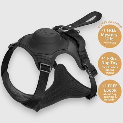 3 in 1 Dog Harness with Built-In Retractable Leash