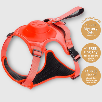 3 in 1 Dog Harness with Built-In Retractable Leash