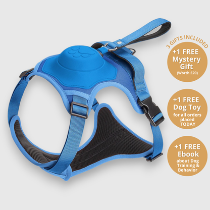 3 in 1 Dog Harness with Built-In Retractable Leash
