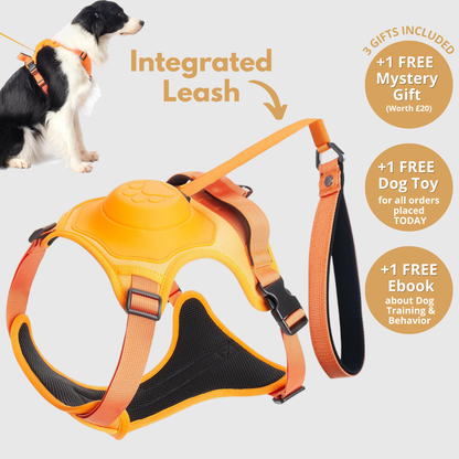3 in 1 Dog Harness with Built-In Retractable Leash