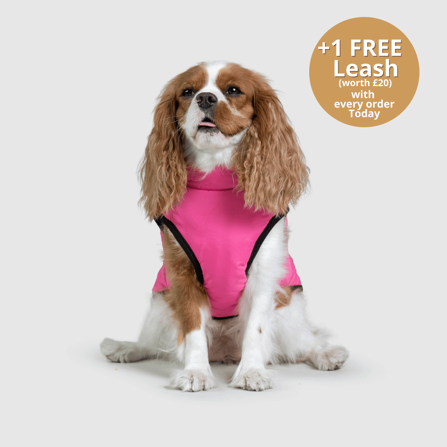 Doggy Kings 3-in-1 Jacket