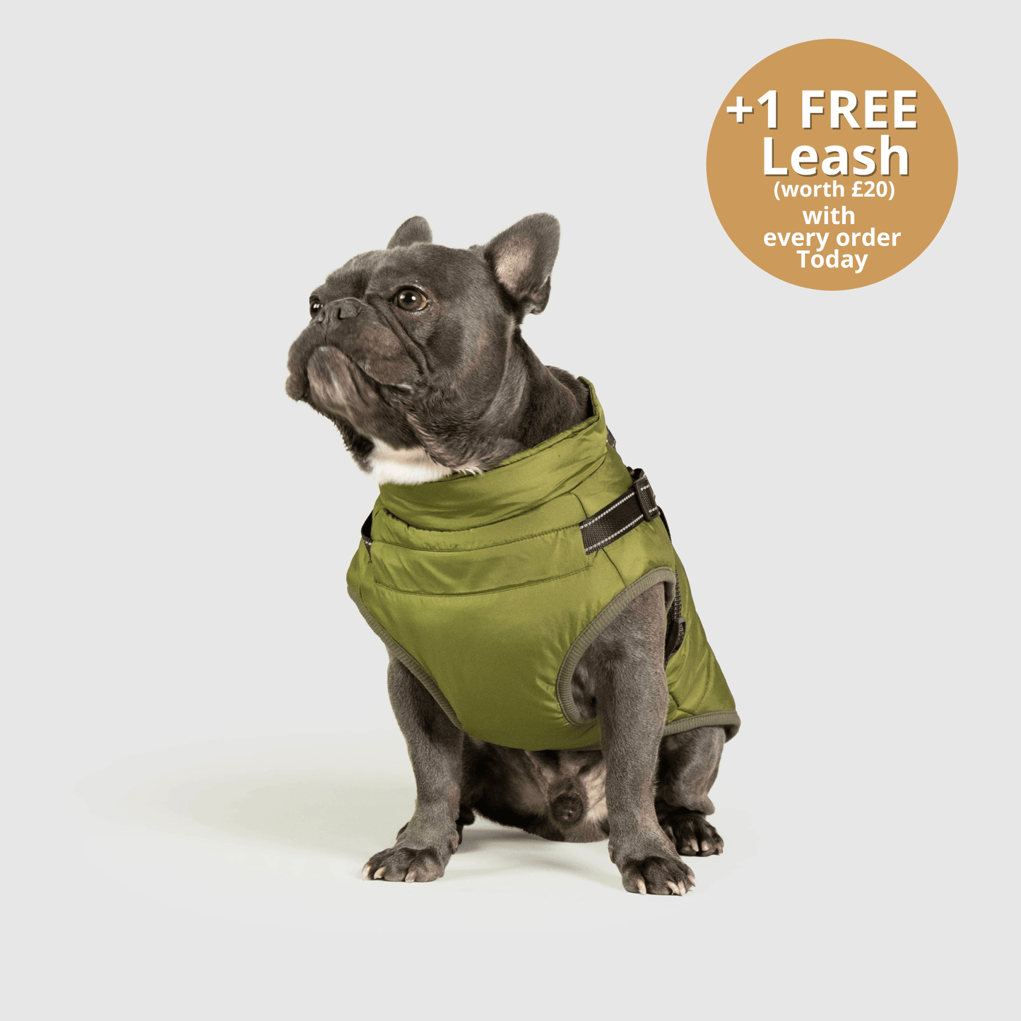 Doggy Kings 3-in-1 Jacket