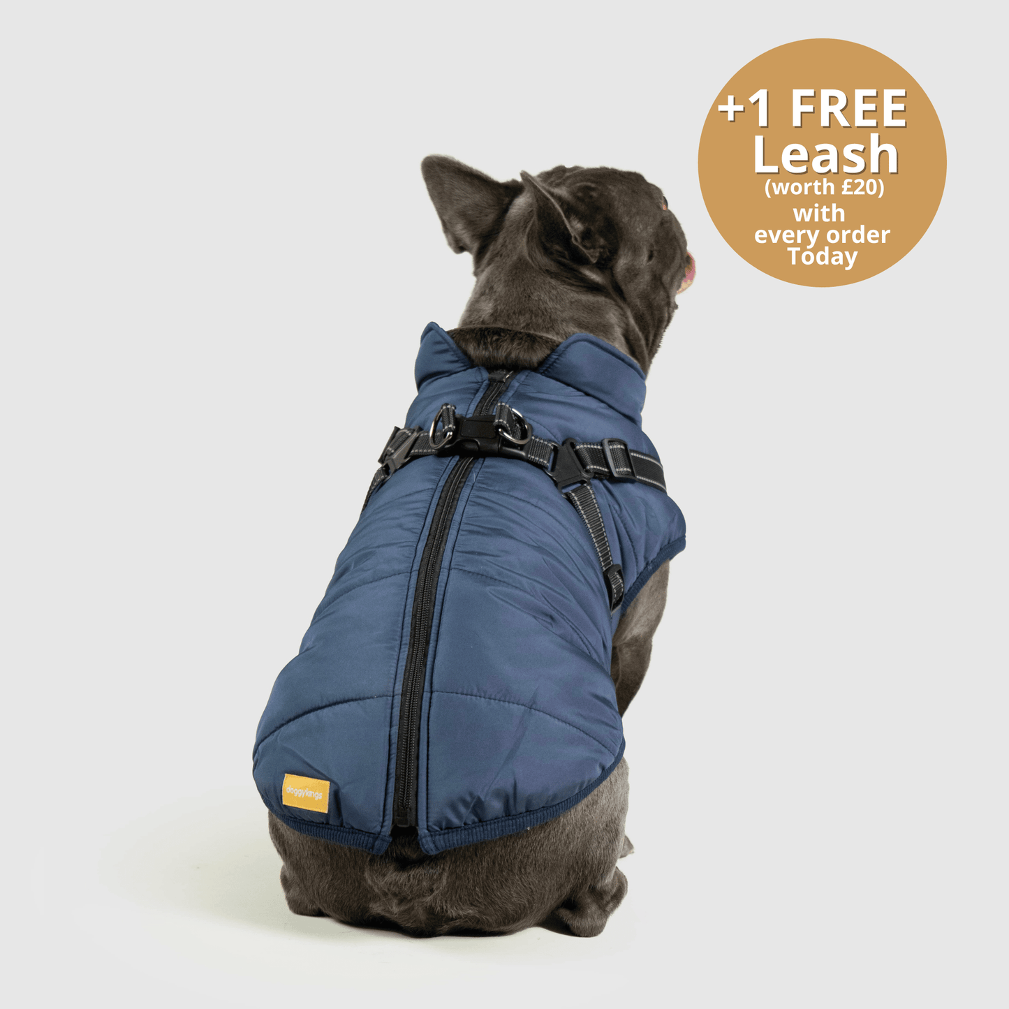 Doggy Kings 3-in-1 Jacket