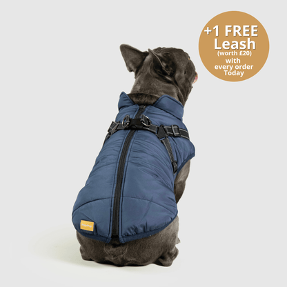 Doggy Kings 3-in-1 Jacket