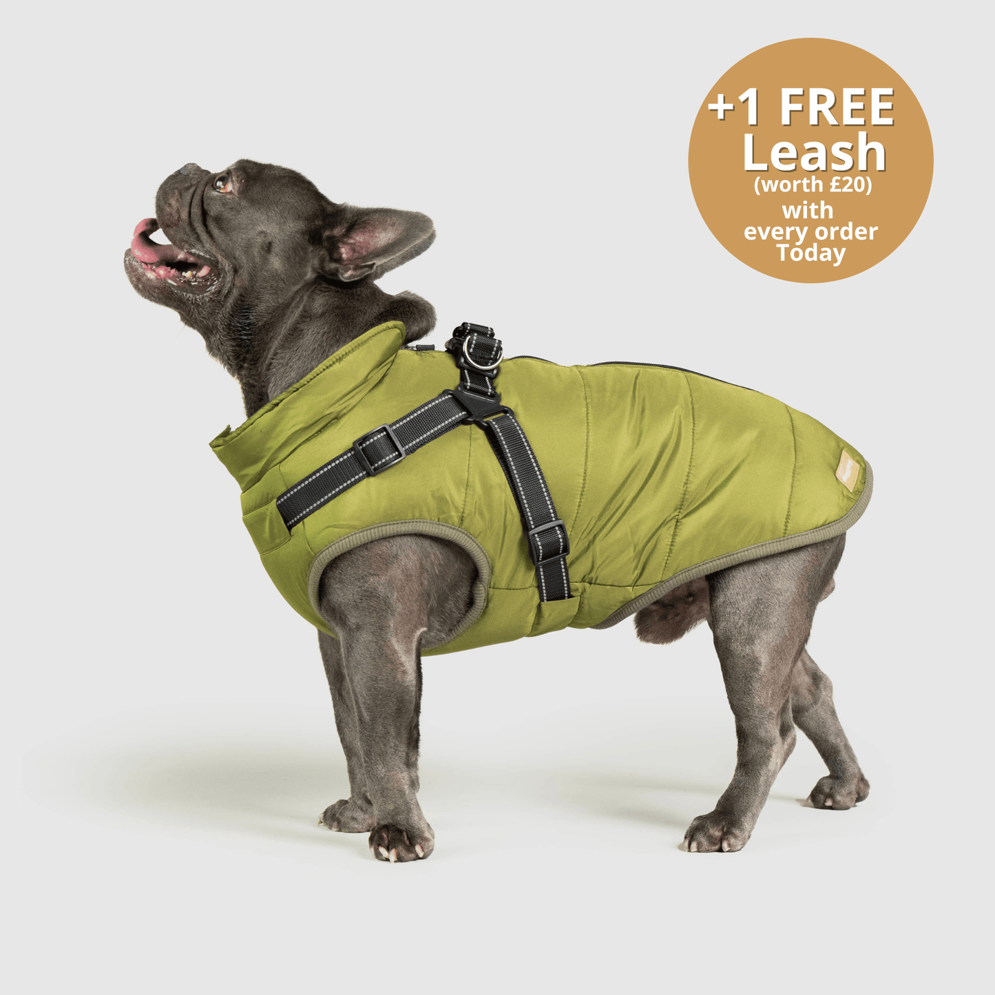 Doggy Kings 3-in-1 Jacket