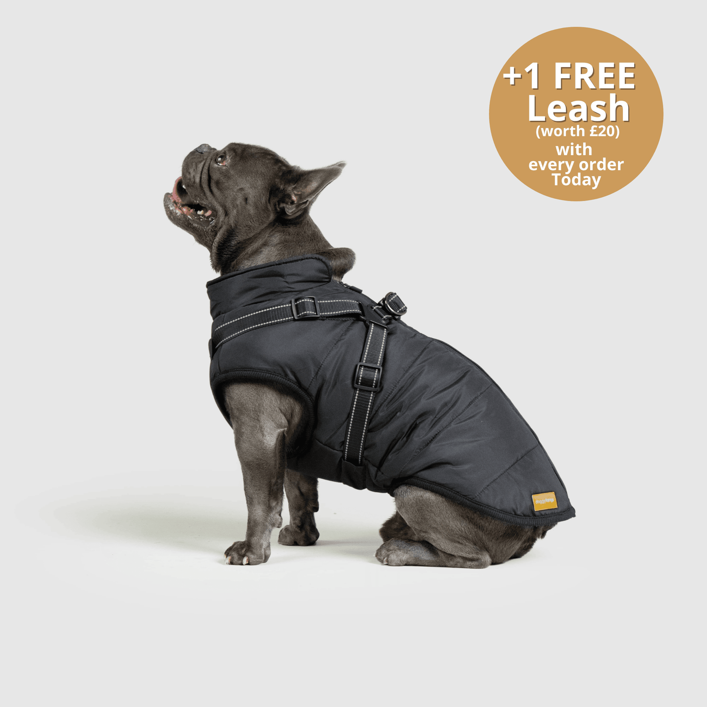 Doggy Kings 3-in-1 Jacket