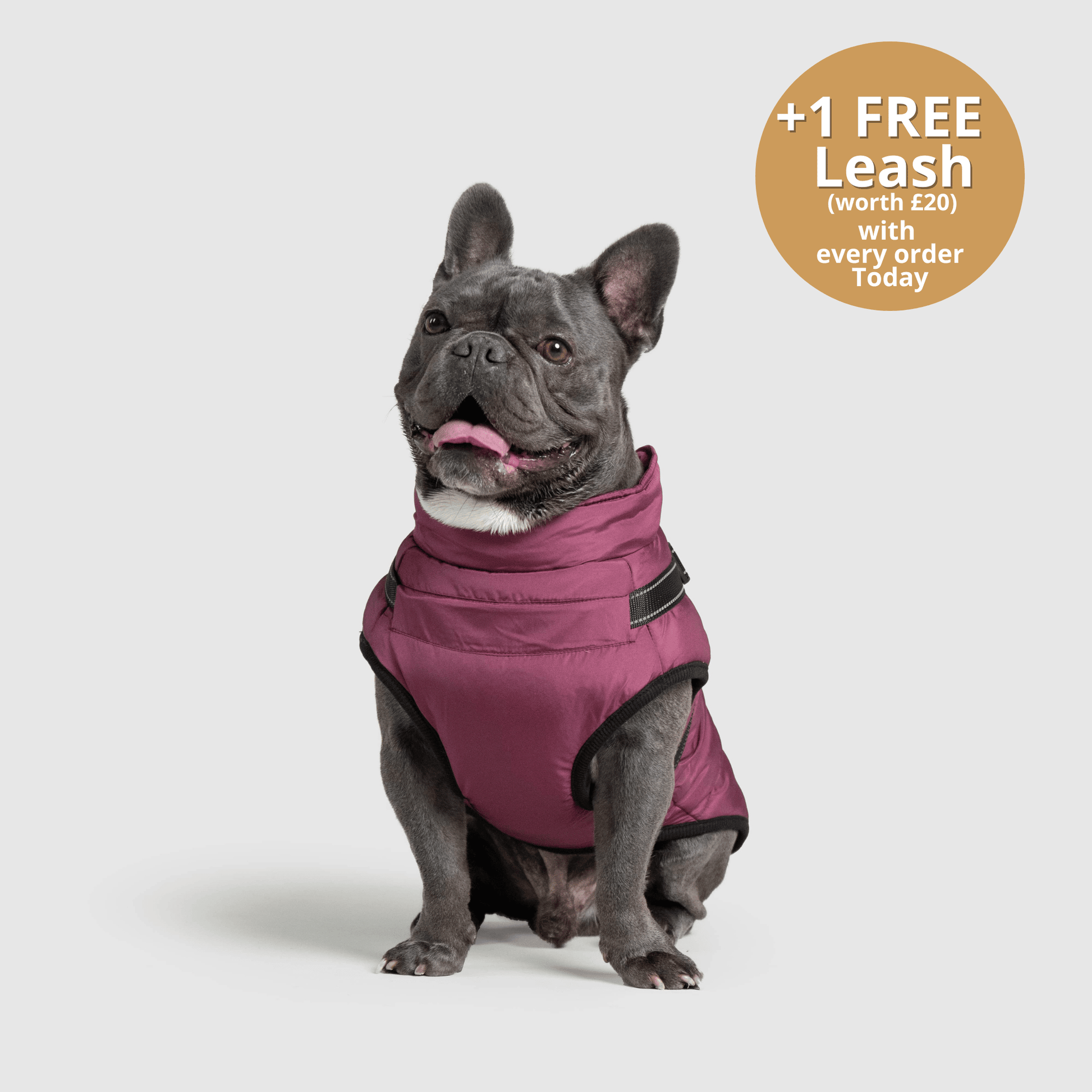 Doggy Kings 3-in-1 Jacket