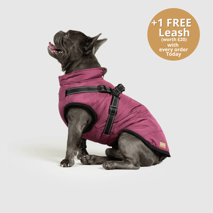 Doggy Kings 3-in-1 Jacket