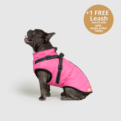 Doggy Kings 3-in-1 Jacket