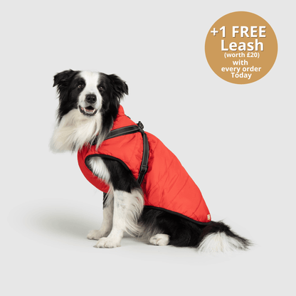 Doggy Kings 3-in-1 Jacket