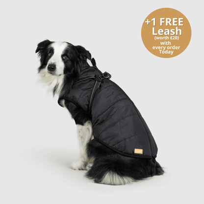 Doggy Kings 3-in-1 Jacket