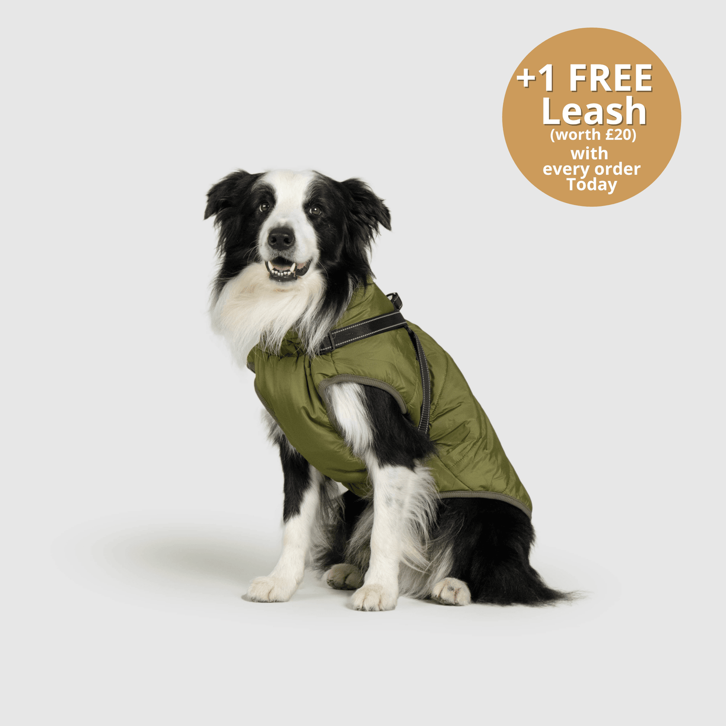 Doggy Kings 3-in-1 Jacket