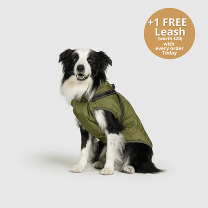 Doggy Kings 3-in-1 Jacket