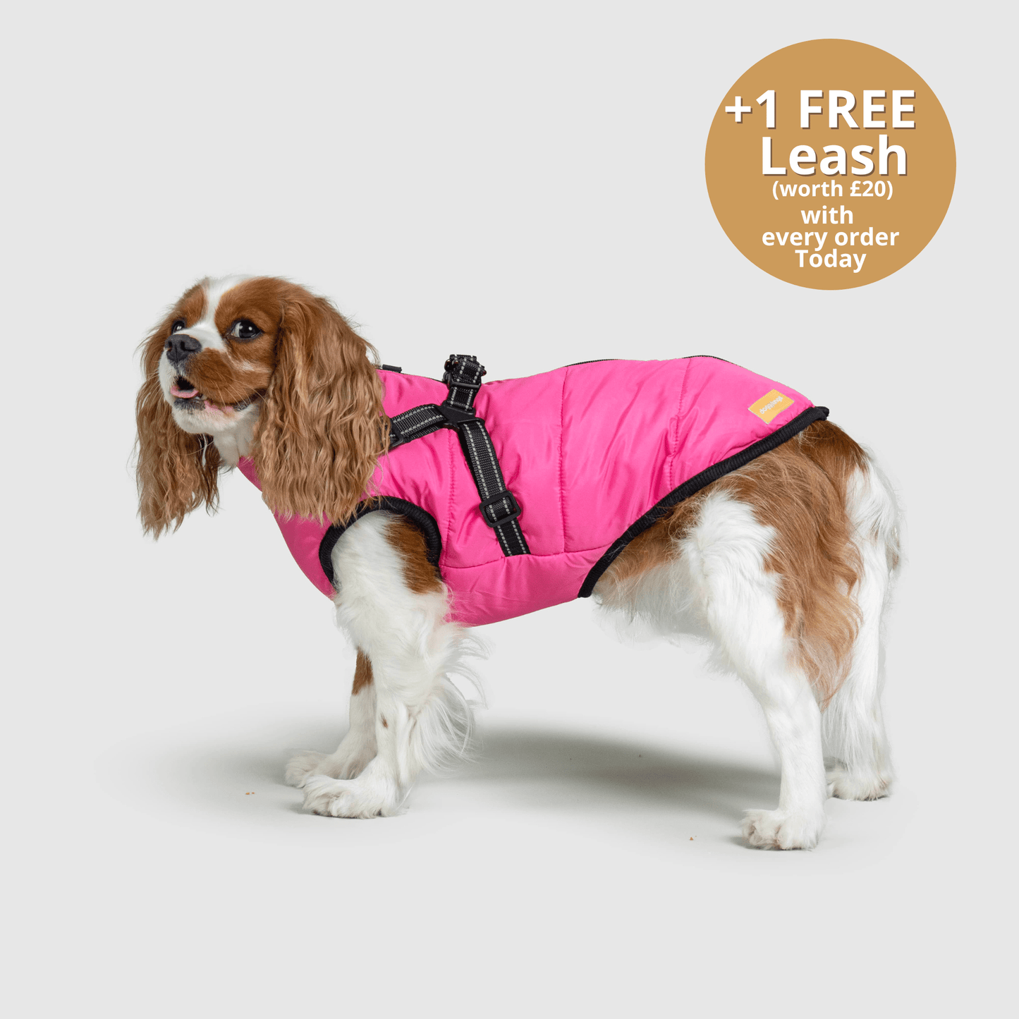 Doggy Kings 3-in-1 Jacket