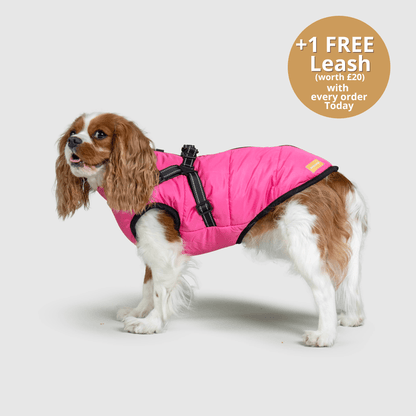 Doggy Kings 3-in-1 Jacket