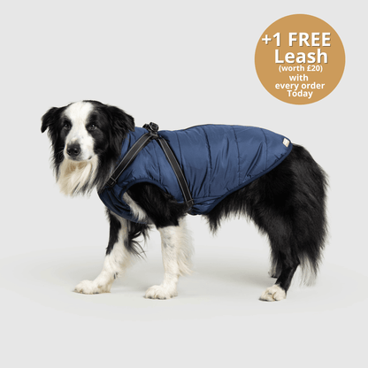 Doggy Kings 3-in-1 Jacket