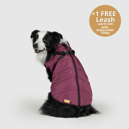 Doggy Kings 3-in-1 Jacket