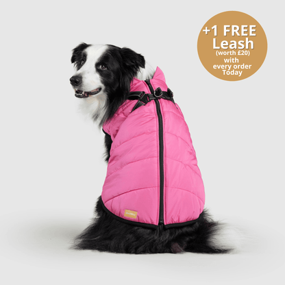 Doggy Kings 3-in-1 Jacket