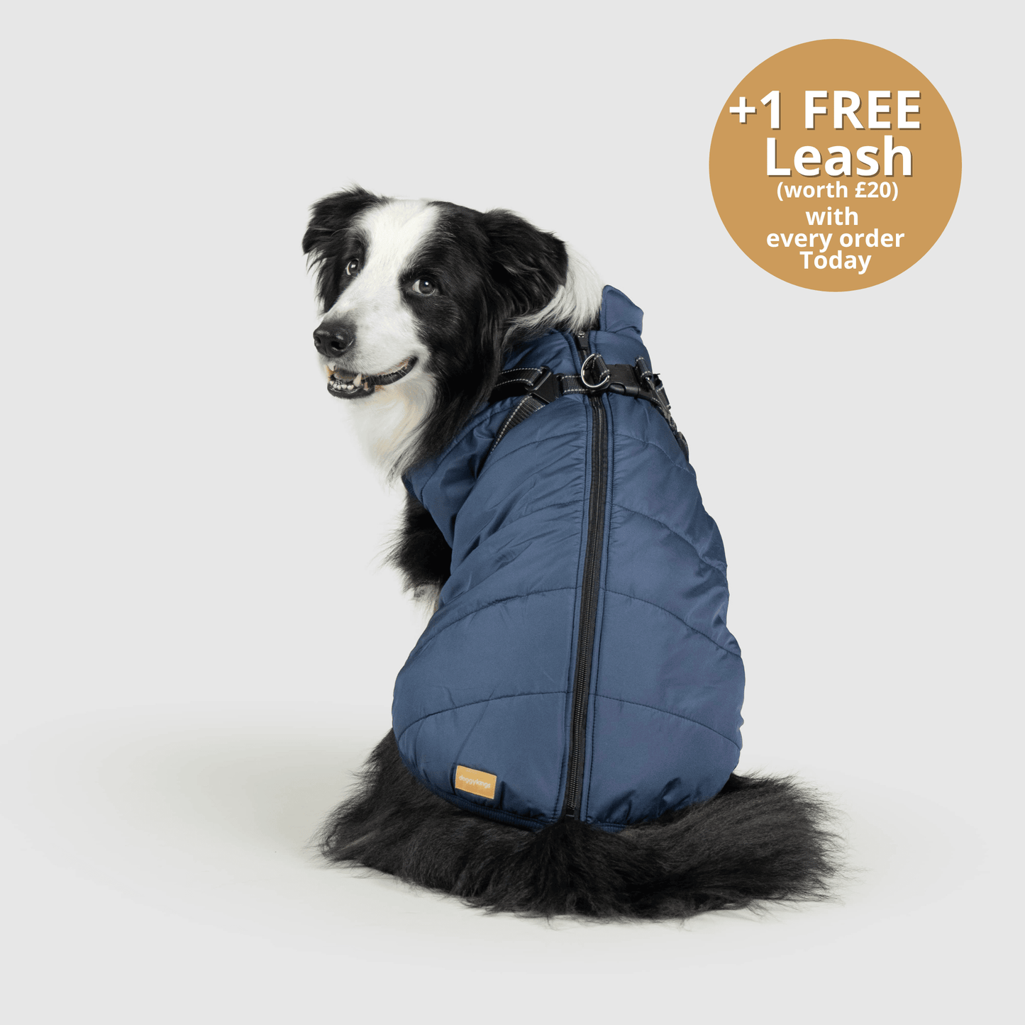 Doggy Kings 3-in-1 Jacket
