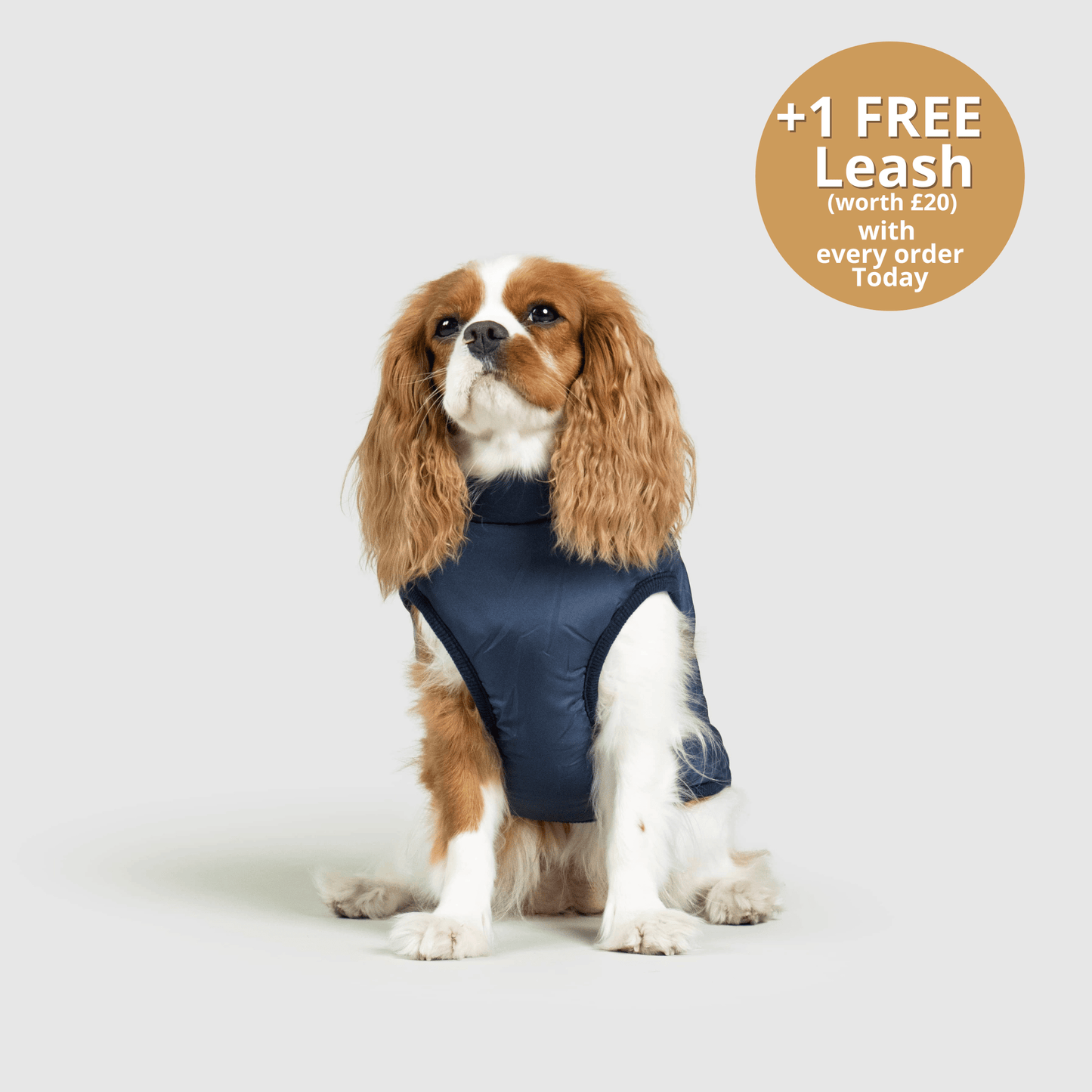 Doggy Kings 3-in-1 Jacket