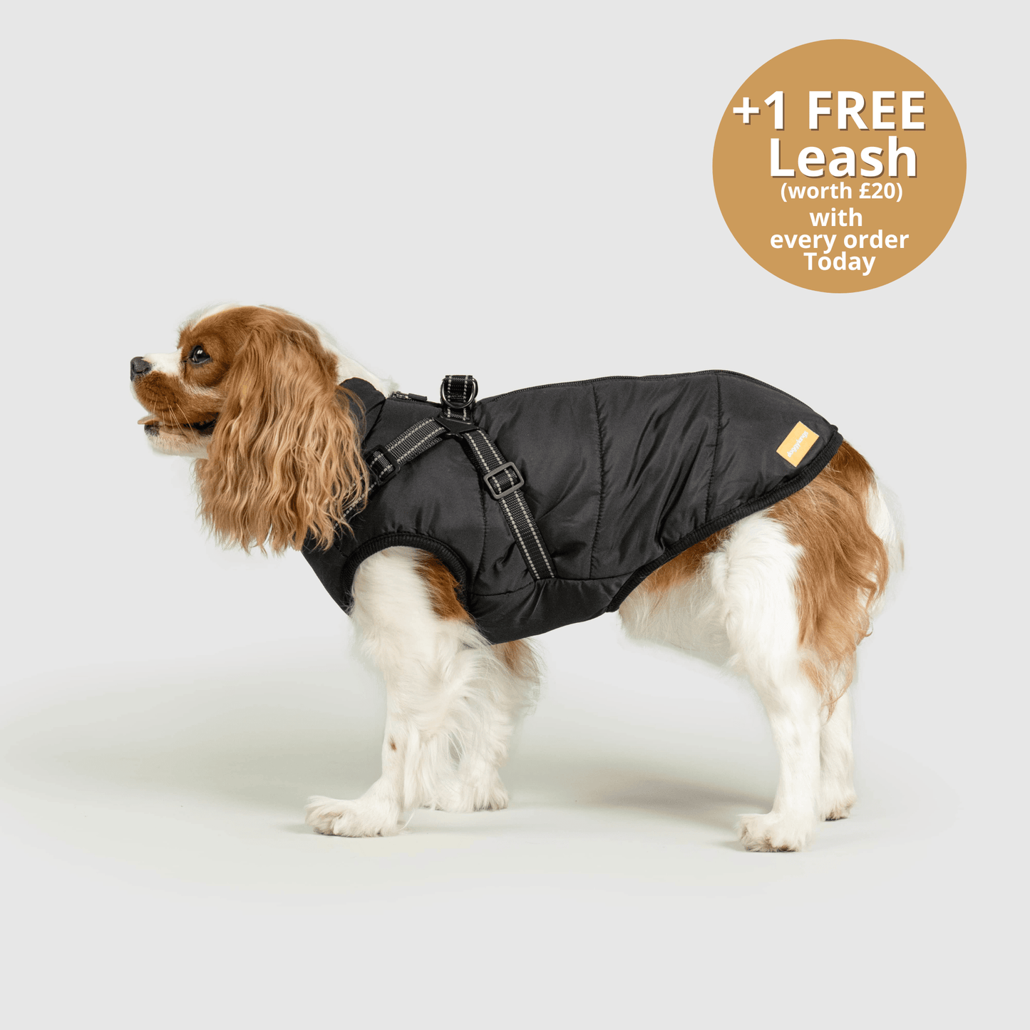 Doggy Kings 3-in-1 Jacket