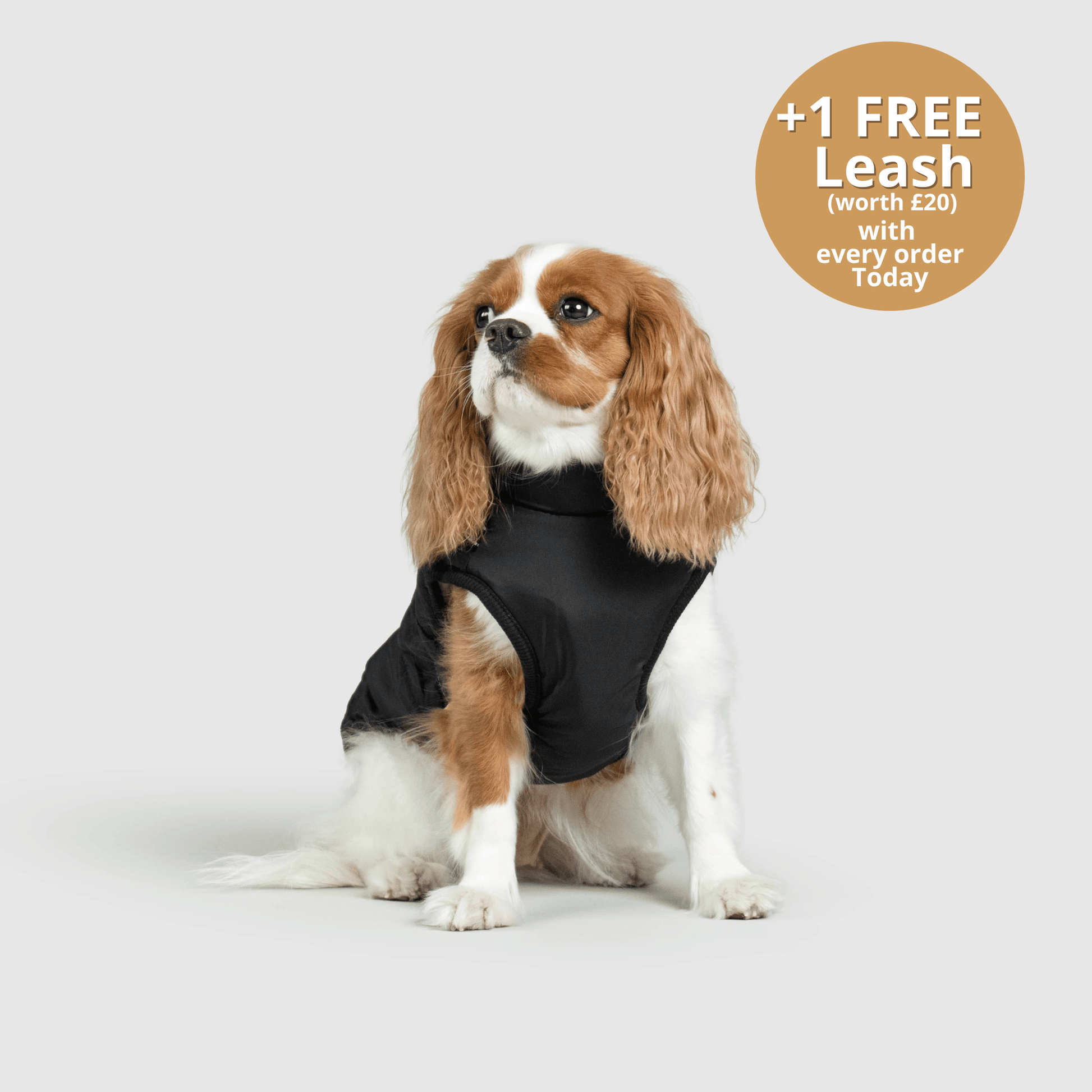 Doggy Kings 3-in-1 Jacket