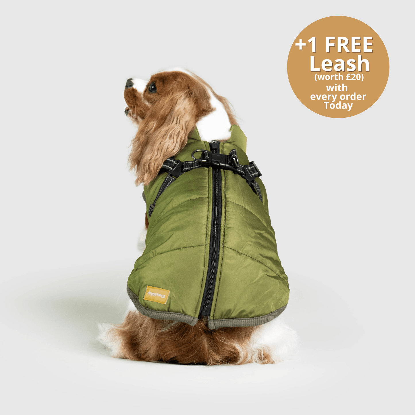 Doggy Kings 3-in-1 Jacket