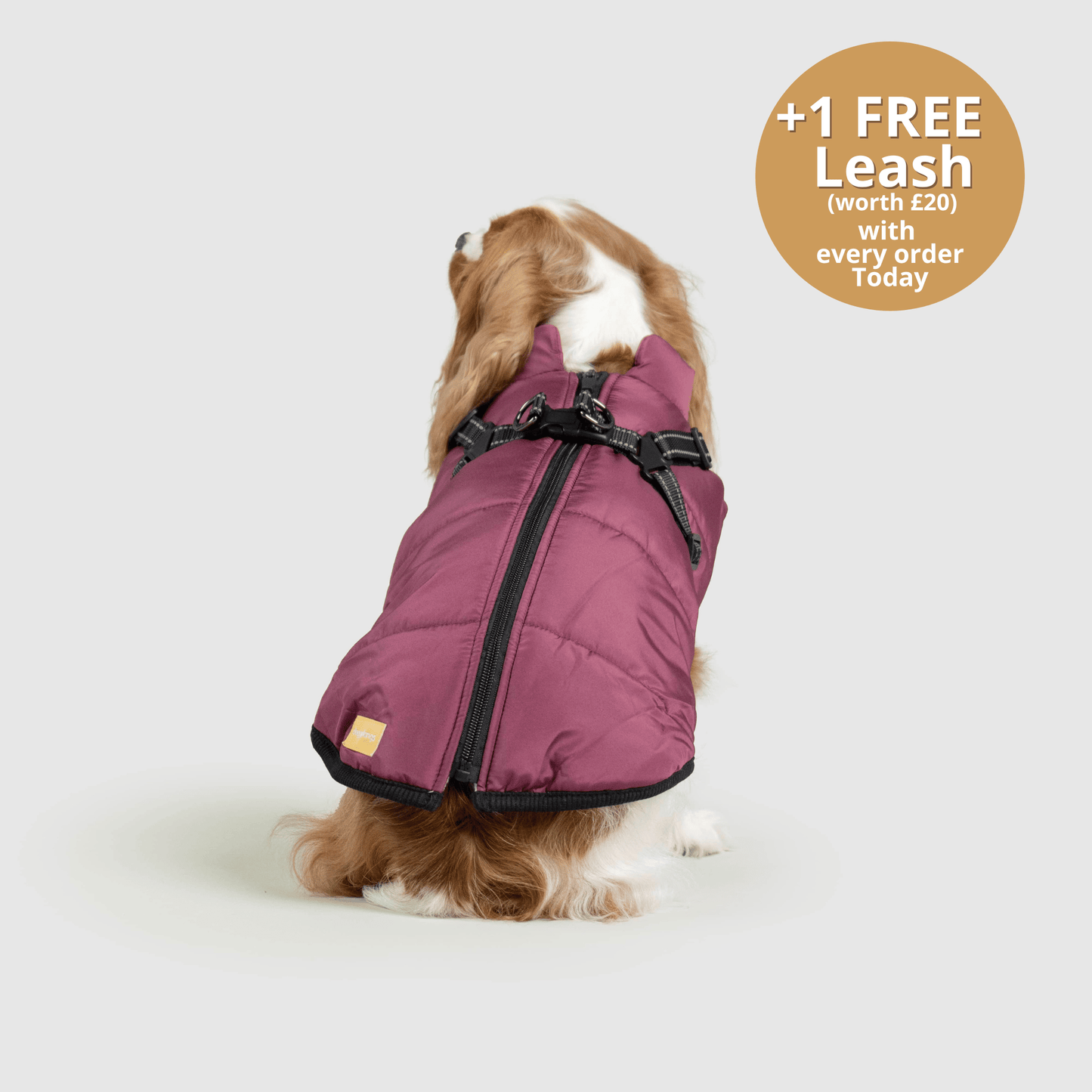 Doggy Kings 3-in-1 Jacket