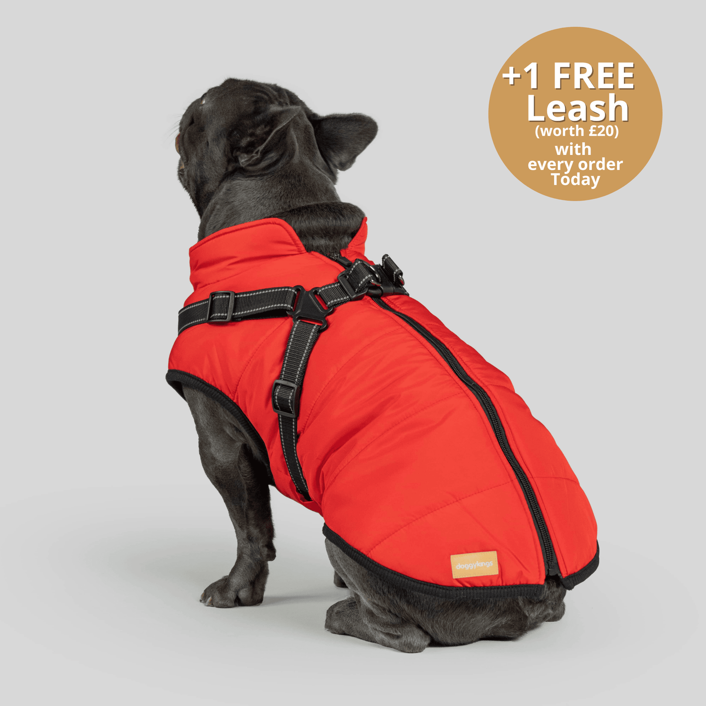 Doggy Kings 3-in-1 Jacket