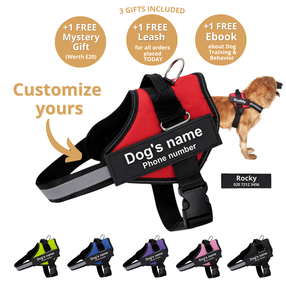 Personalized No-Pull Dog Harness  Waterproof, Reflective & Customizable