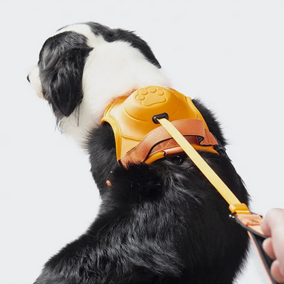 3 in 1 Dog Harness with Built-In Retractable Leash