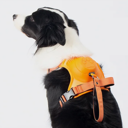 3 in 1 Dog Harness with Built-In Retractable Leash