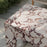 Valen Square Indoor - Outdoor Patio Arched Concrete Side Table