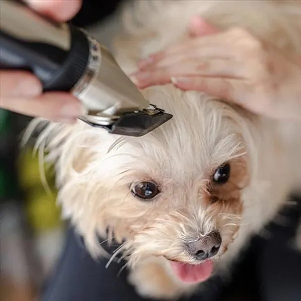 Quiet Dog Grooming Kit, Efficient Trimming