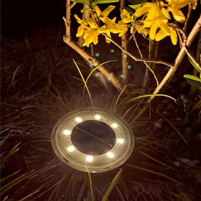 Solar Outdoor Light, Energy Efficient