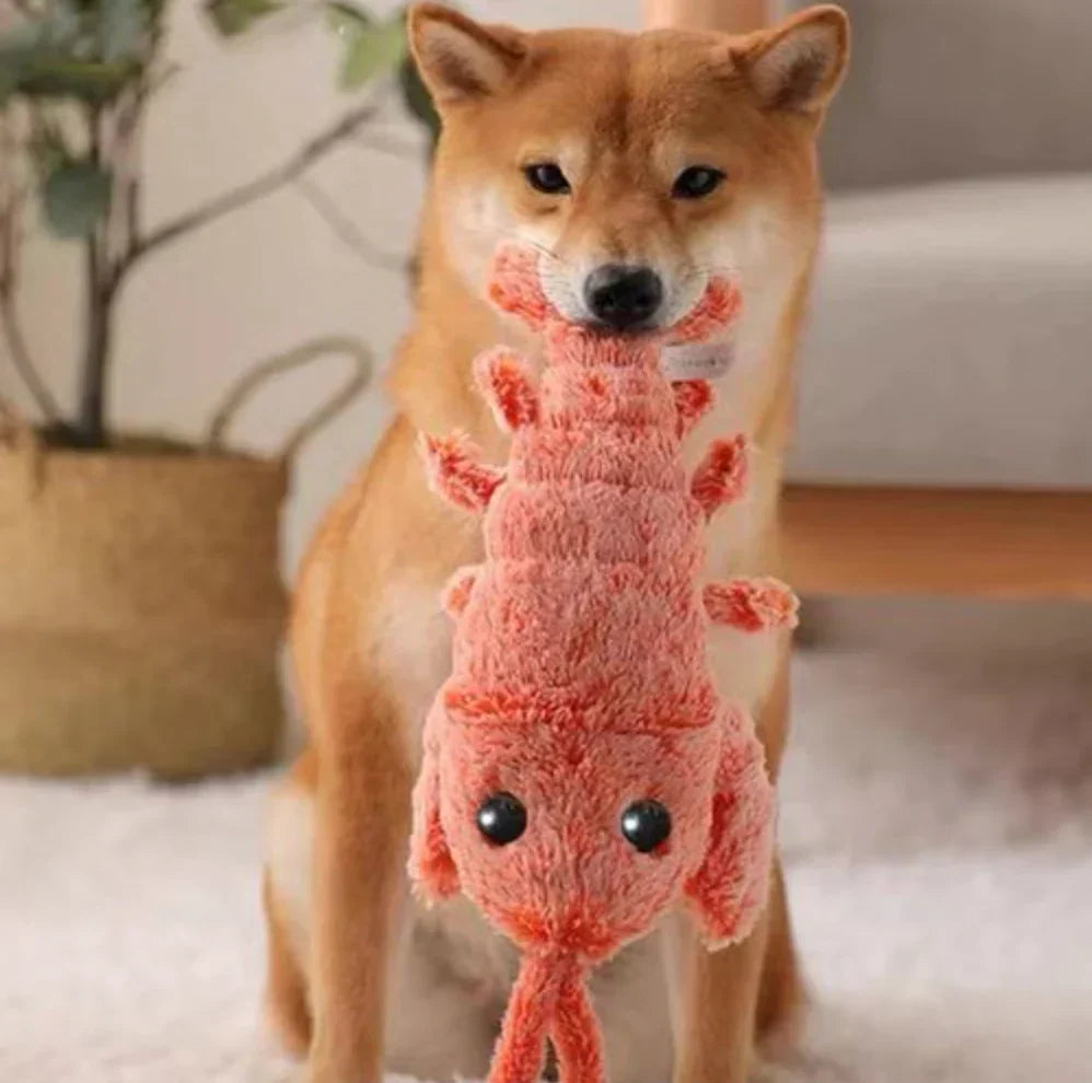 Wiggly Lobster – Interactive Dog Toy