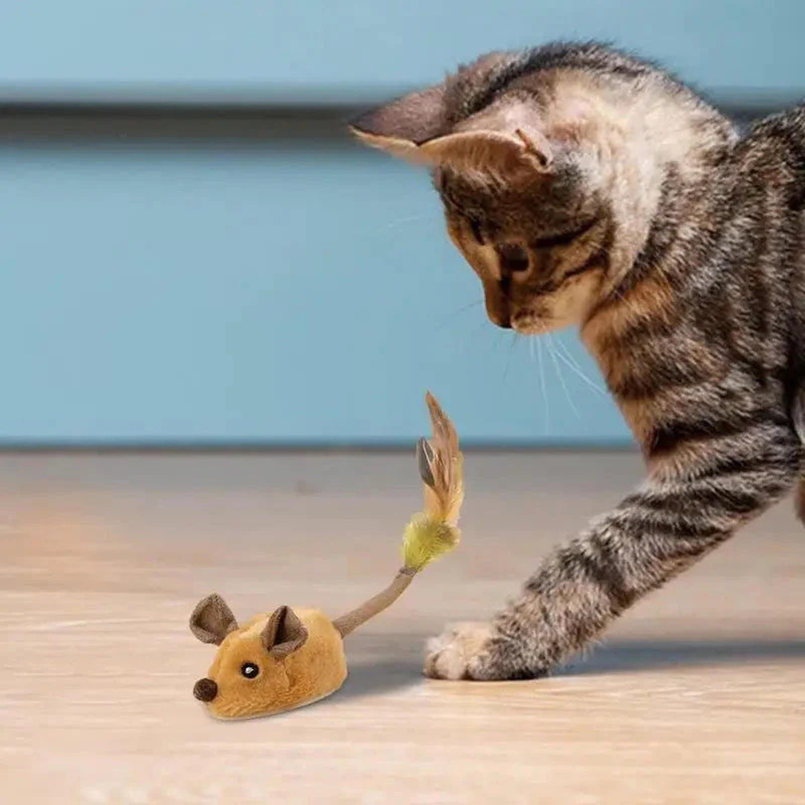 Interactive Rodent Simulator, Engaging Play