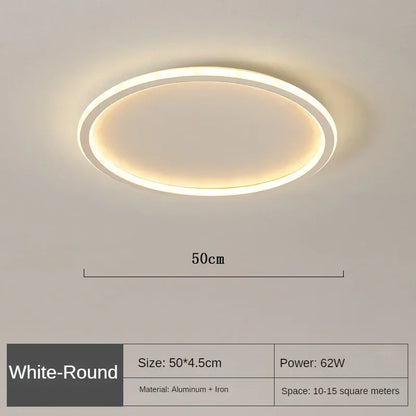 Modern Ceiling Light, Scandinavian Dimmable LED Minimalist