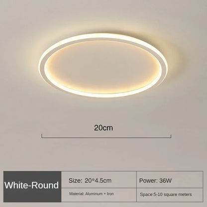 Modern Ceiling Light, Scandinavian Dimmable LED Minimalist