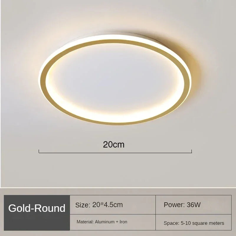 Modern Ceiling Light, Scandinavian Dimmable LED Minimalist