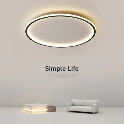 Modern Ceiling Light, Scandinavian Dimmable LED Minimalist