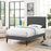 Camille Fabric Platform Bed with Squared Tapered Legs