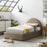 Resort Performance Velvet Arched Round Platform Bed