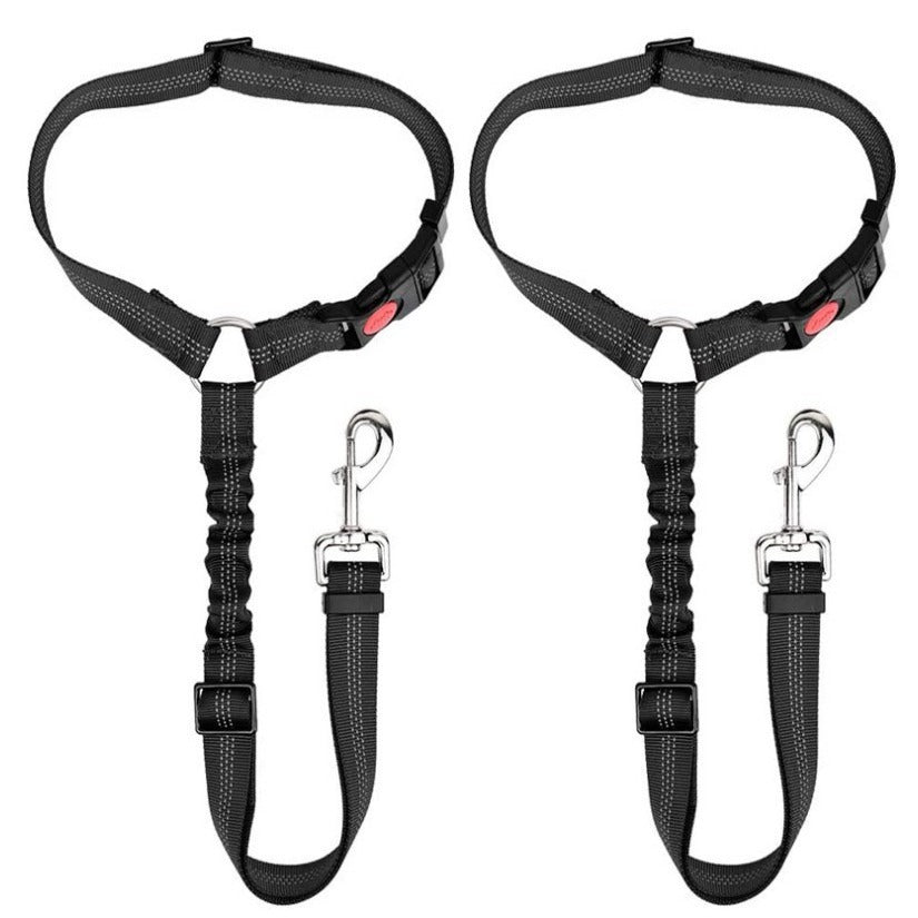 Secure Dog Restraint, Adjustable Fit